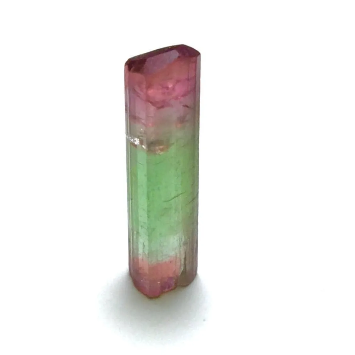 Brazilian Elbaite Stone Specimens, 10g 5-15mm Multicolor Stones, Display Box for Living Room Decor & Stone Collection