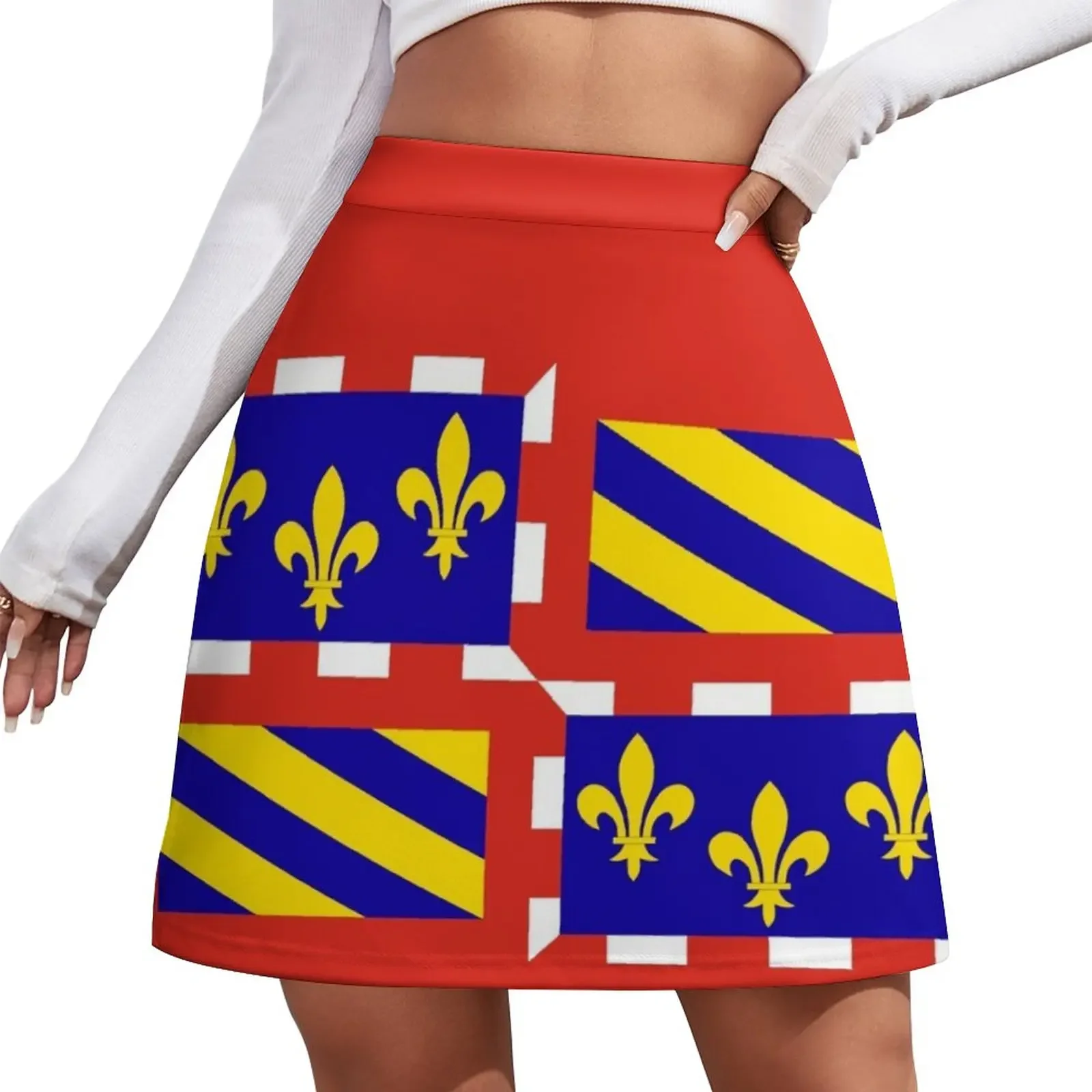 Flag of Bourgogne France Mini Skirt women clothes modest skirts for women