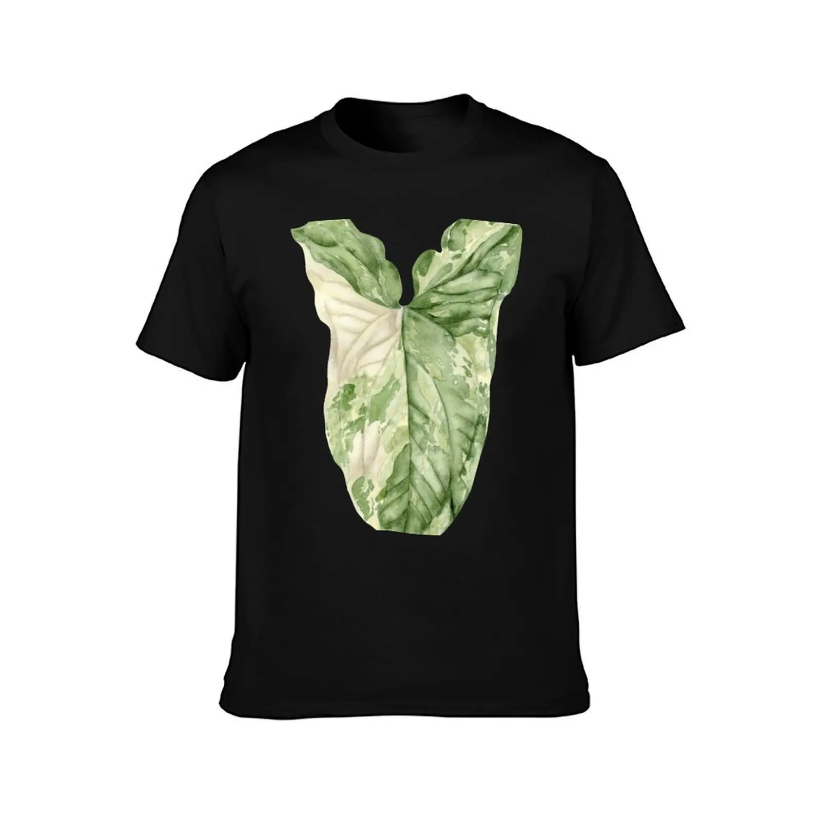 Syngonium Albo Variegata T-Shirt Classic Basic Casual T-Shirt