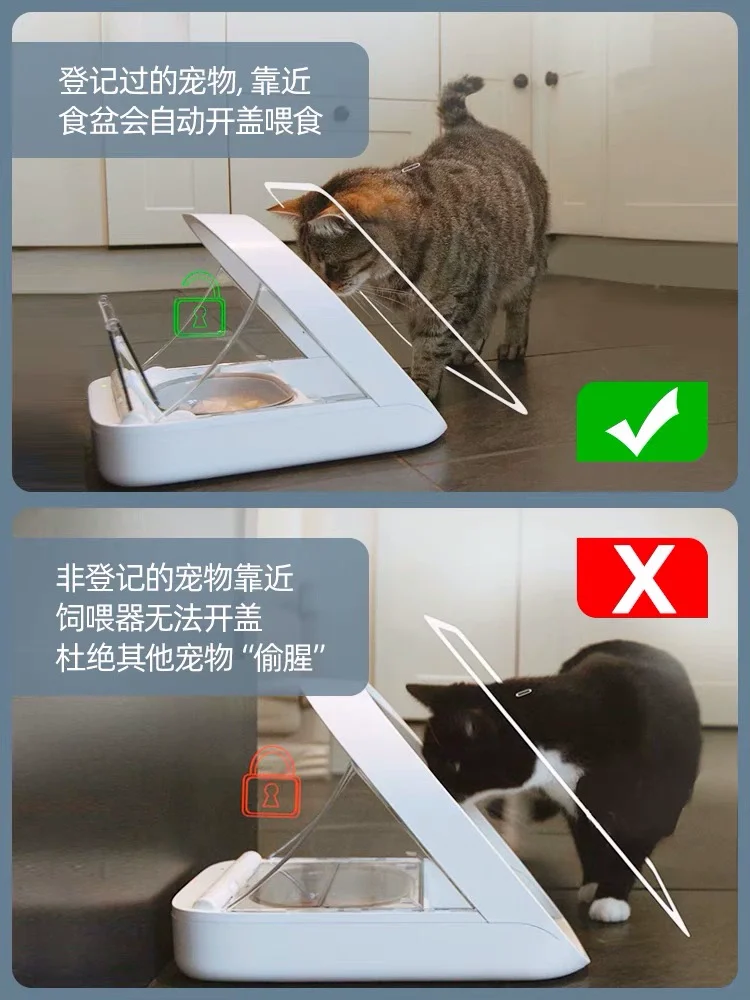 Intelligent Chip Recognition Induction Multi-Cat Automatic Feeder Wet Food Preservation Insect Prevention
