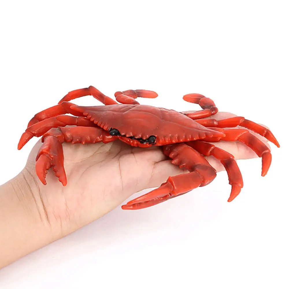 Realistic  Micro Landscape Red Crab Model Sea Animal Figurine  Cognition Simulation Crabs