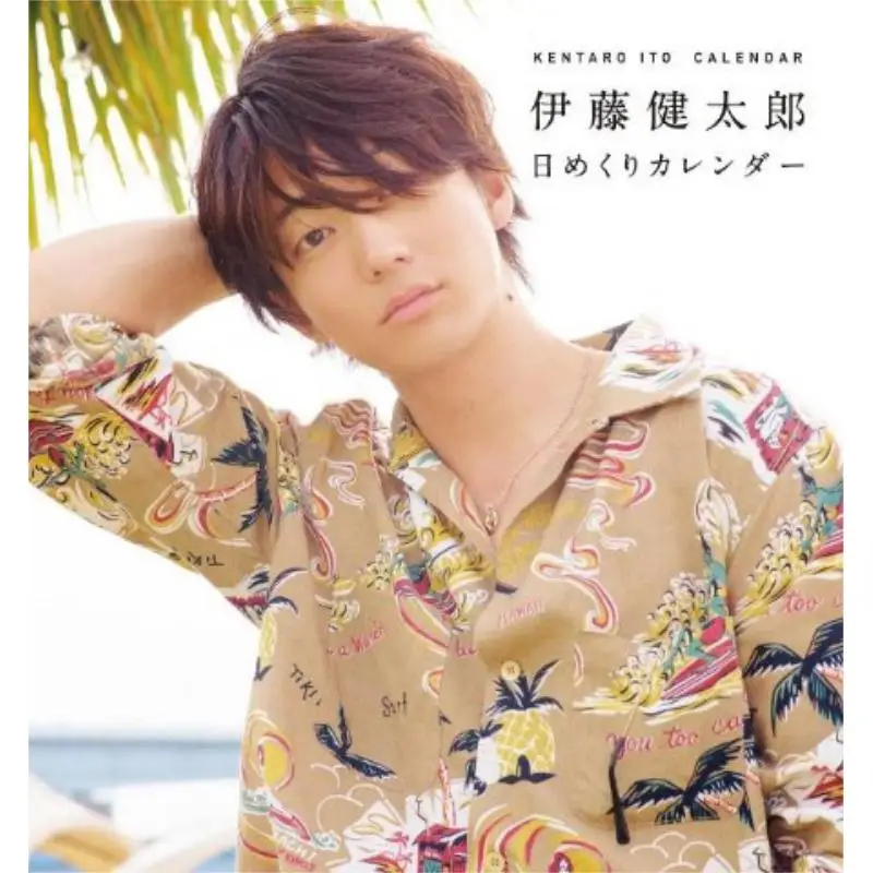 ITO Kentaro Daily Calendar Kentaro ITO Kodansha 9784065381458 Book