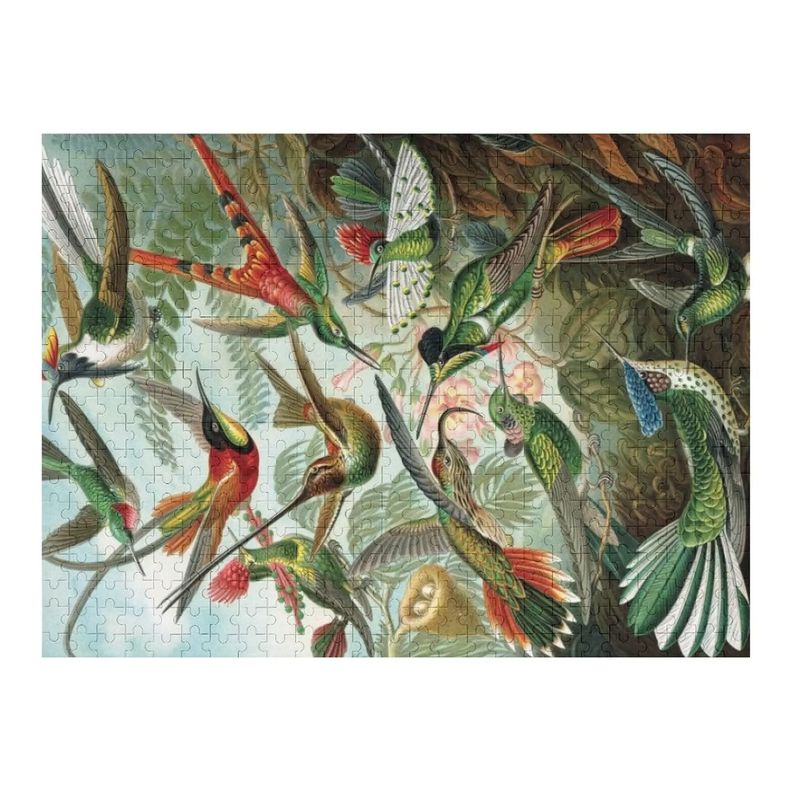 

Haeckels birds Jigsaw Puzzle Custom Gifts Animal Puzzle