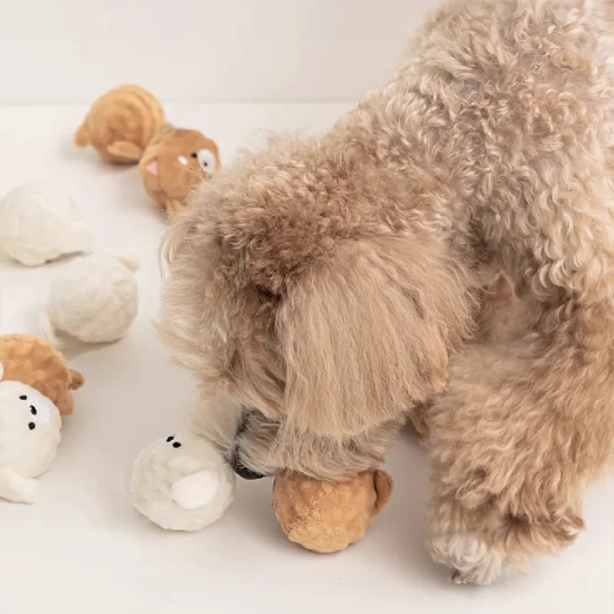 Thumbnail 2 - #39 Interactive Pet Toys List of Top Picks