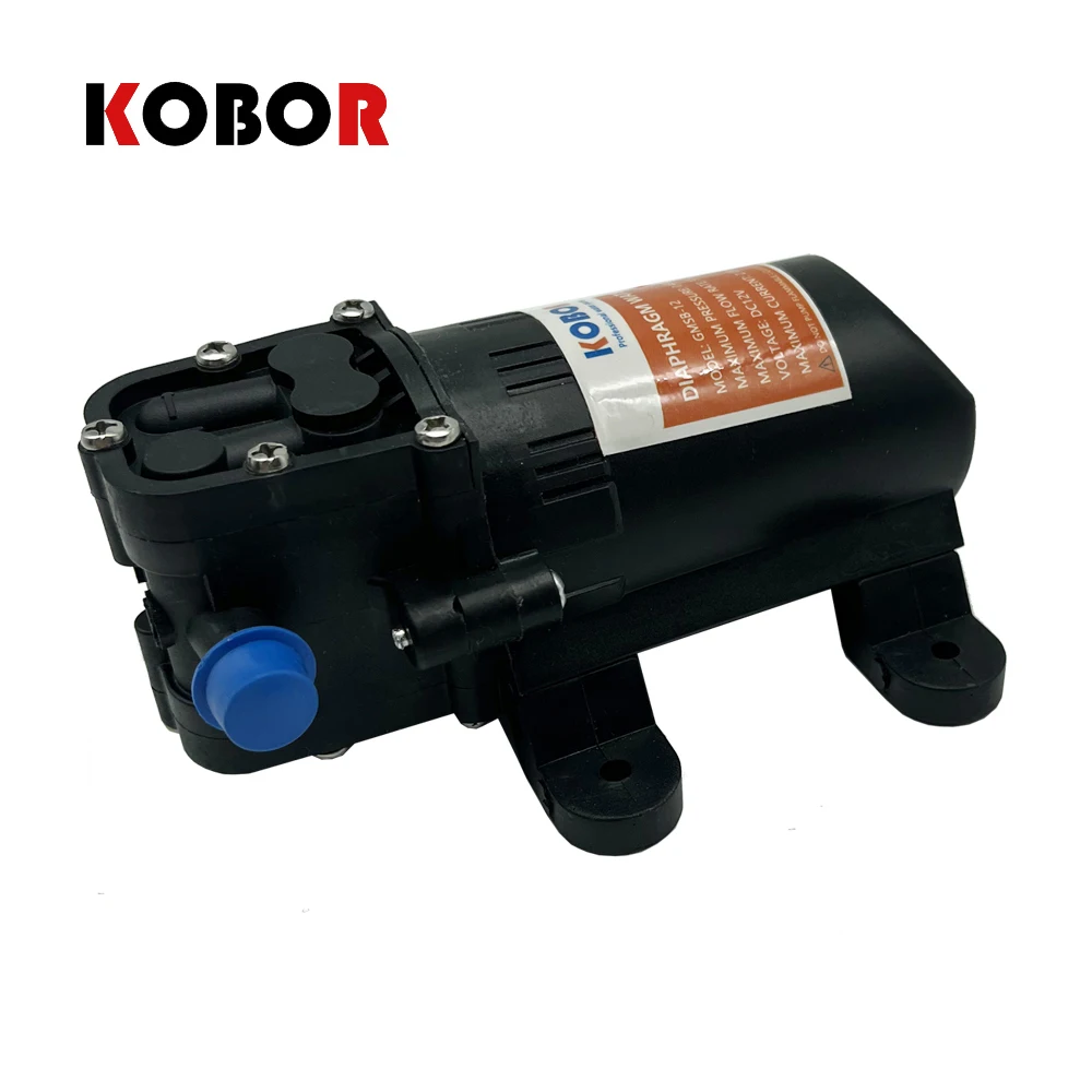 Micro Electric Water Pump Dc 12v 70psi 3.5l/min Black Micro High Pressure Diaphragm Water Sprayer Car Wash 12 V Agricultural