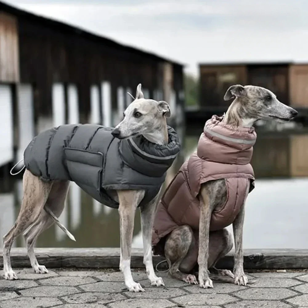 

Winter Warm Dog Clothes Windproof Waterproof Thick Pet Dog Down Jacket Adjustable Cotton Large Dog Parkas Clothing Pet Supplies