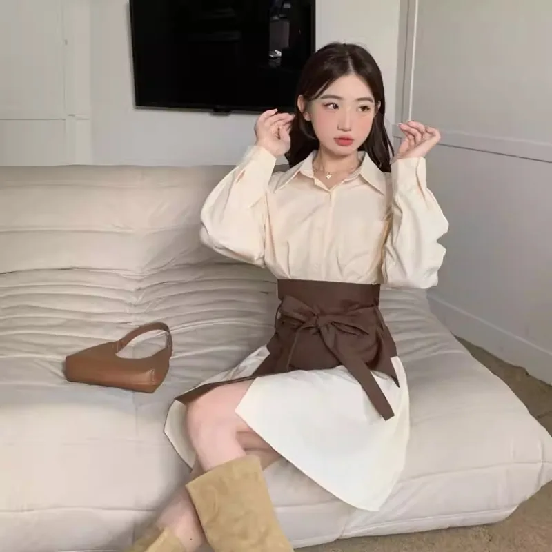 Long Sleeve Dress Women Lace-up Flattering Waist Elegant Gentle New Temper All-match Trendy Button-up Tender Spring Streetwear image 3