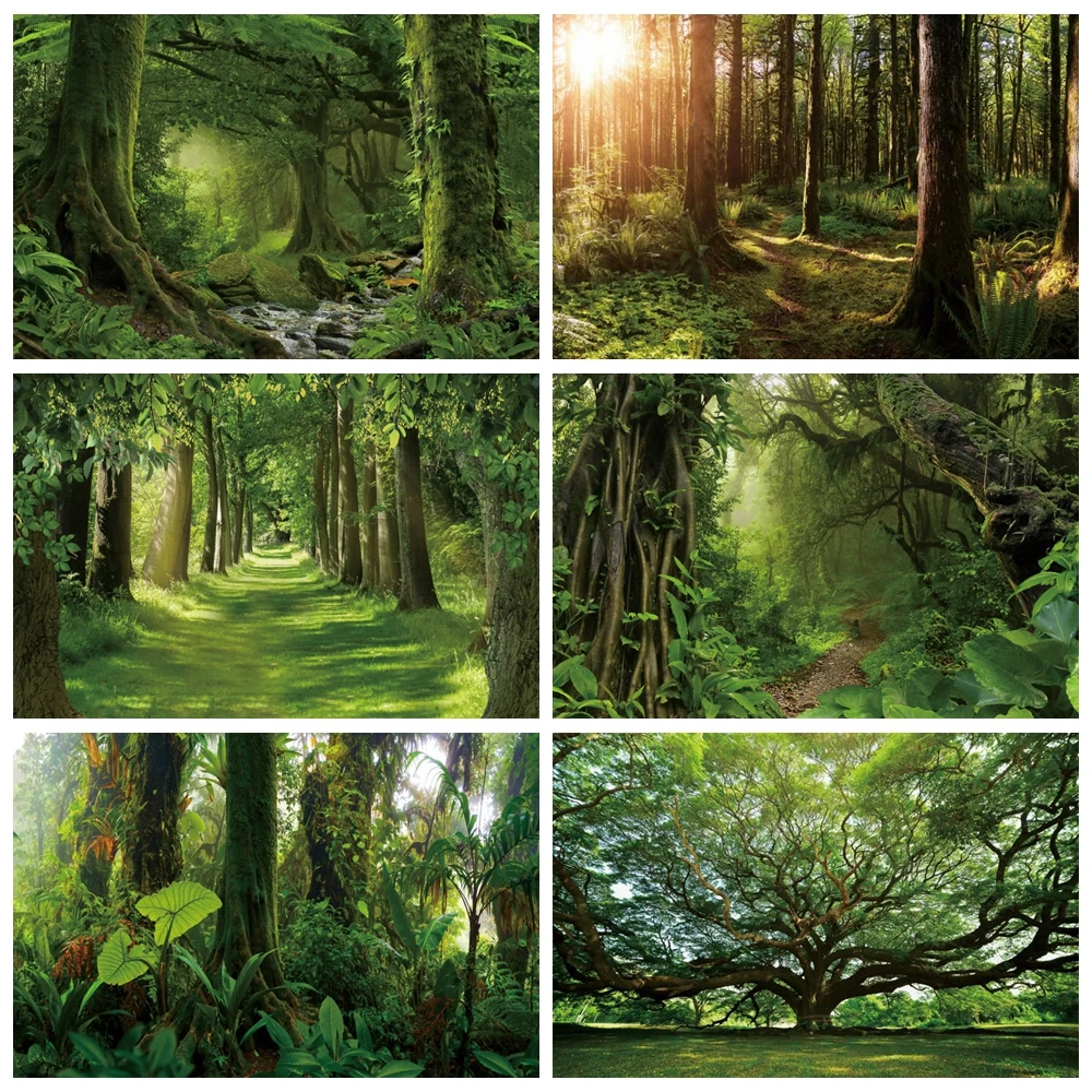 خلفية تصوير الغابات الاستوائية ، الربيع ، الغابة ، المطر ، الأوراق الخضراء ، المناظر الطبيعية الخلابة ، ديكور الغرفة ، الخلفيات ، استوديو الصور