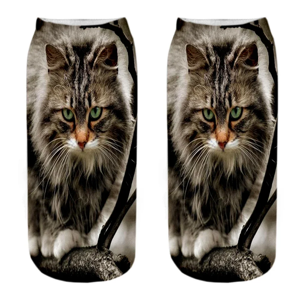 جوارب قطط نسائية مرحة ، طباعة ثلاثية الأبعاد ، موضة رائعة ، فن قصير مضحك ، هدية جديدة ، شحن سريع ، جديد #6