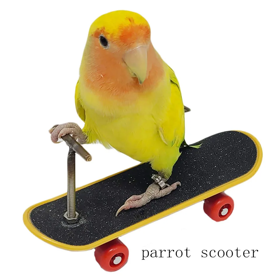 

Parrot Scooter Training Mini Skateboard Stand Perch for Bird Supplies Pet Intelligence Foot-talon Toys