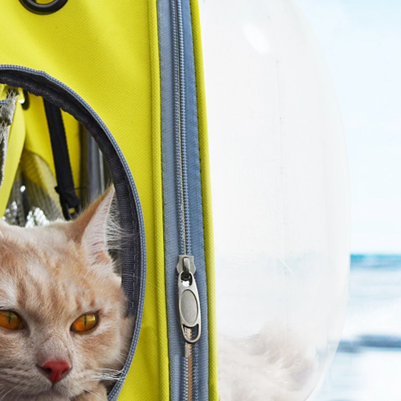 

Transparent Space Cover Acrylic Dome Backpack Window Bubble 320MMx125MM Clear Pet Carrier Replacement for Dog Cat Travel