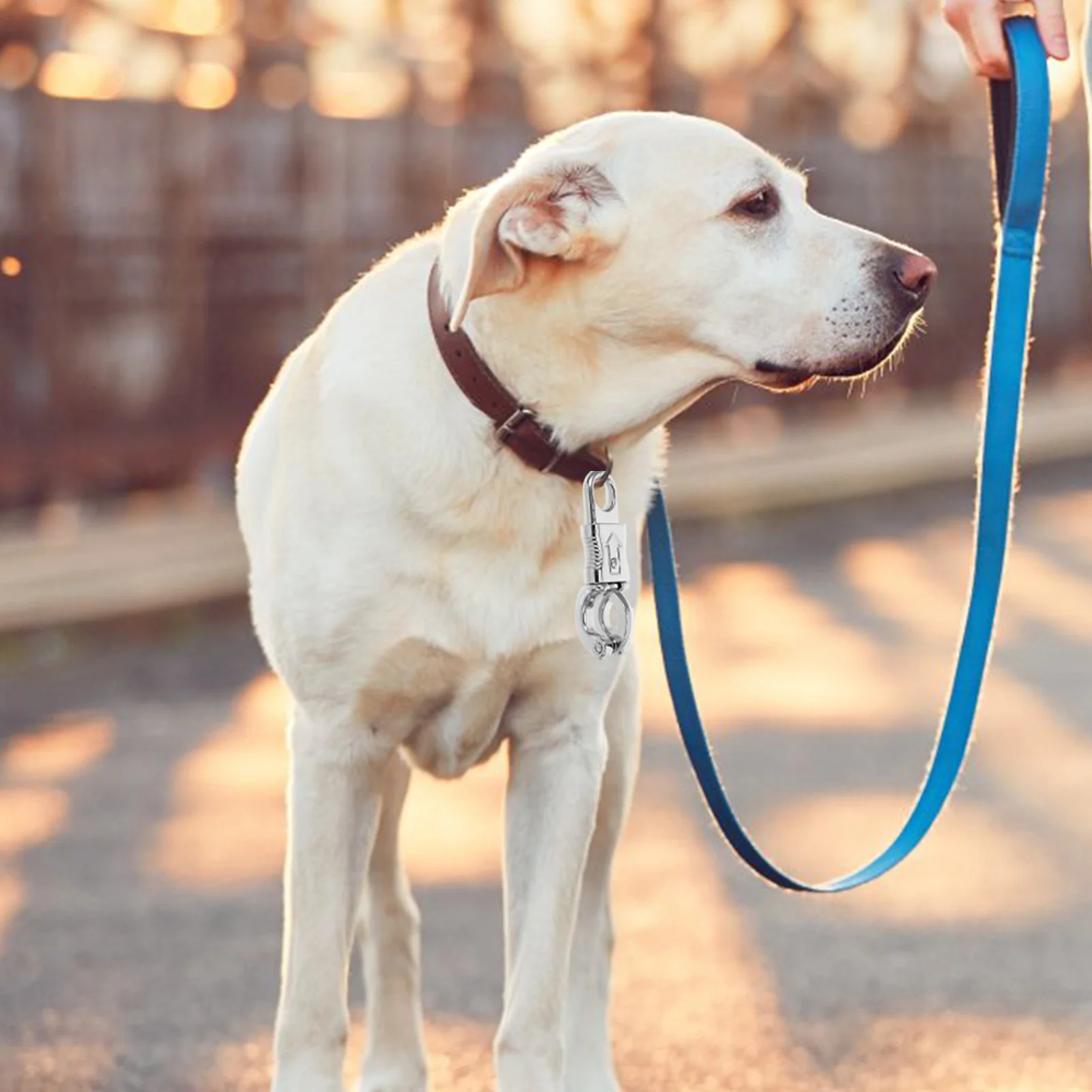 

2Pcs Dog Leash Clips Metal Snap Hooks Traction Hardware Quick Release Clip Pet Leash Supplies Backpack Bolt Snap Hooks