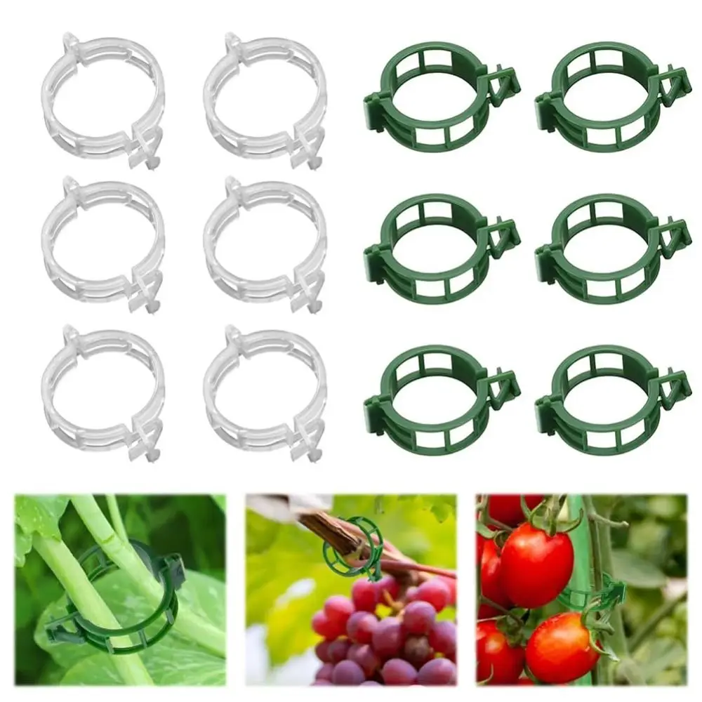 100 PCS Grow Upright Reusable Plant Support Clips Durable Snap-Lock Design Fixing Clips Plant Clips Grape Vine
