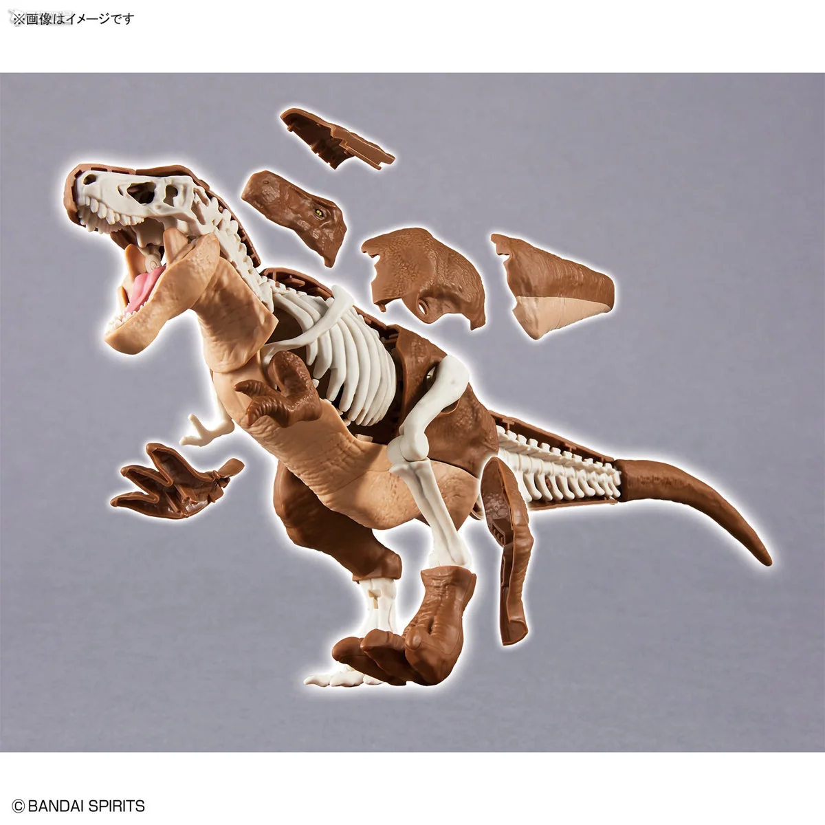 Bandai เดิมประกอบที่ครอบคลุมรุ่น Series Plannosaurus Tyrannosaurus Rex เล็งที่ของเล่นเด็กสะสมเครื่องประดับ