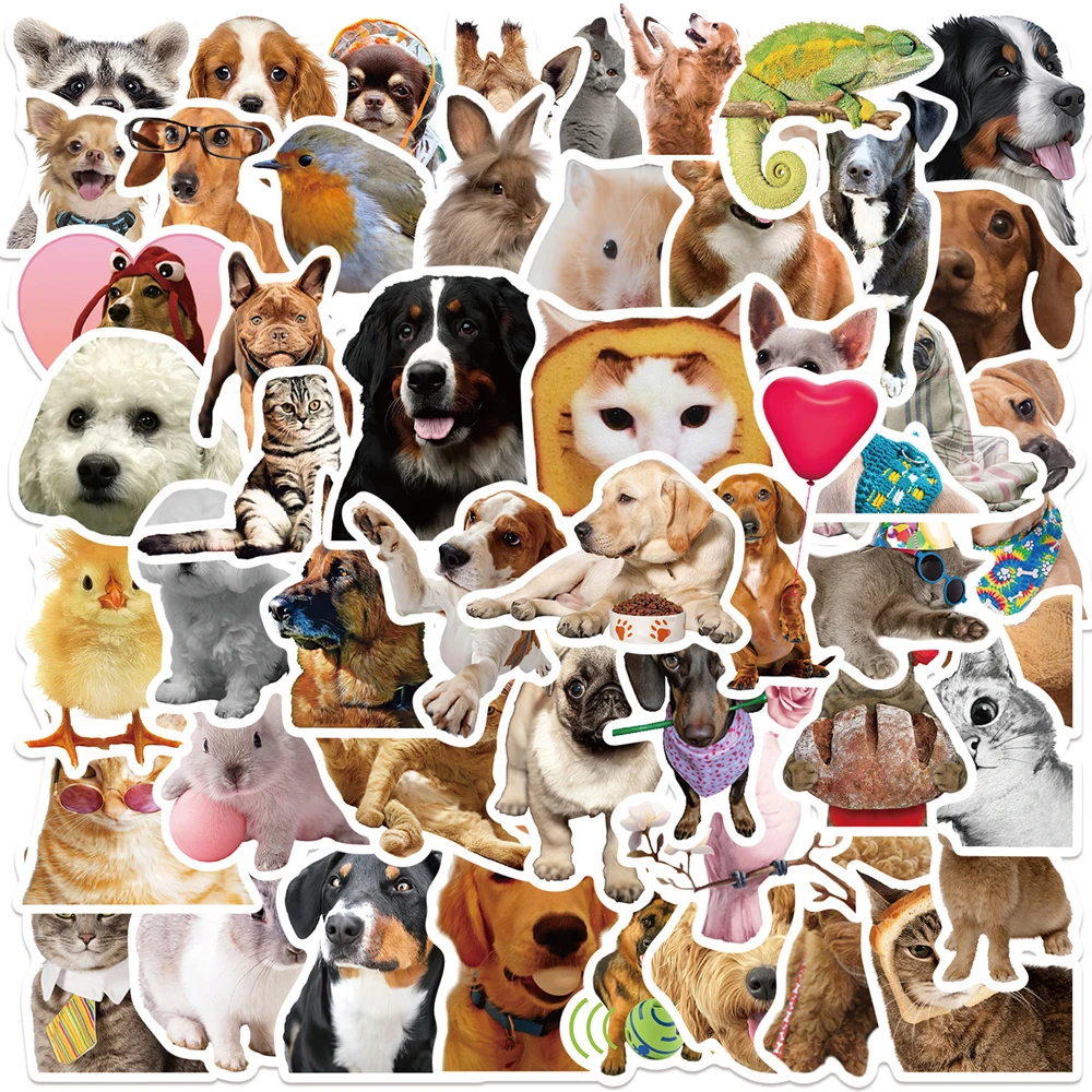 10/30/50pcs Funny Cat Dog MEME Stickers Kawaii Cute Animal Cartoon Decals DIY Notebook Luggage Phone Cute Kids Joke Sticker Toys