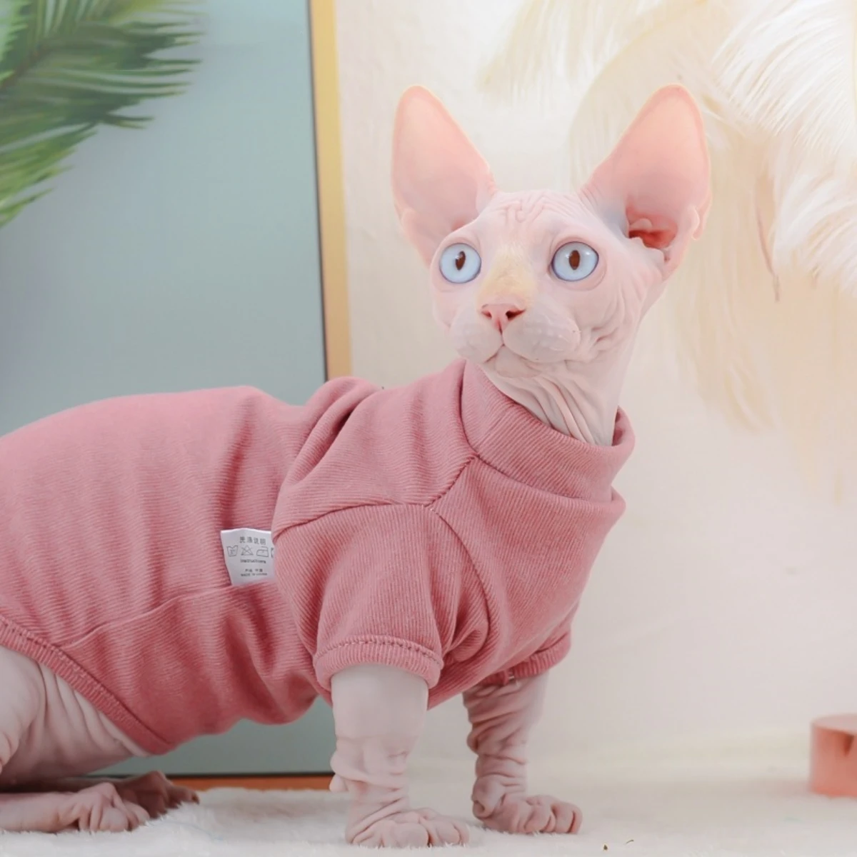 

DUOMASUMI-Sphynx Cat Velvet Vest, Four-legged Clothes, Warmth and Elasticity, Hairless Cat Clothes, Devon Rex, Autumn and Winter