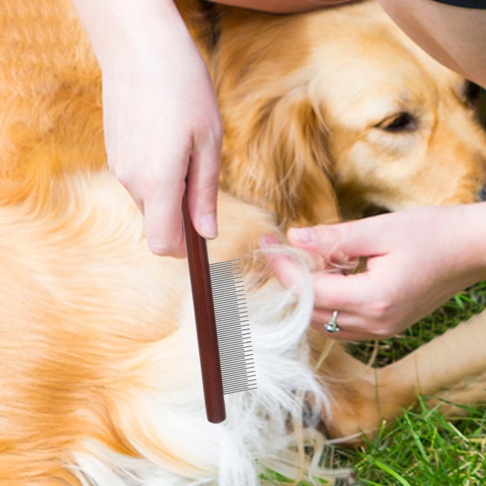 

3pcs Pet Comb Set Stainless Steel Dog Grooming Tool for Cats Small Dogs Wear Resistant Hair Detangler Accessory