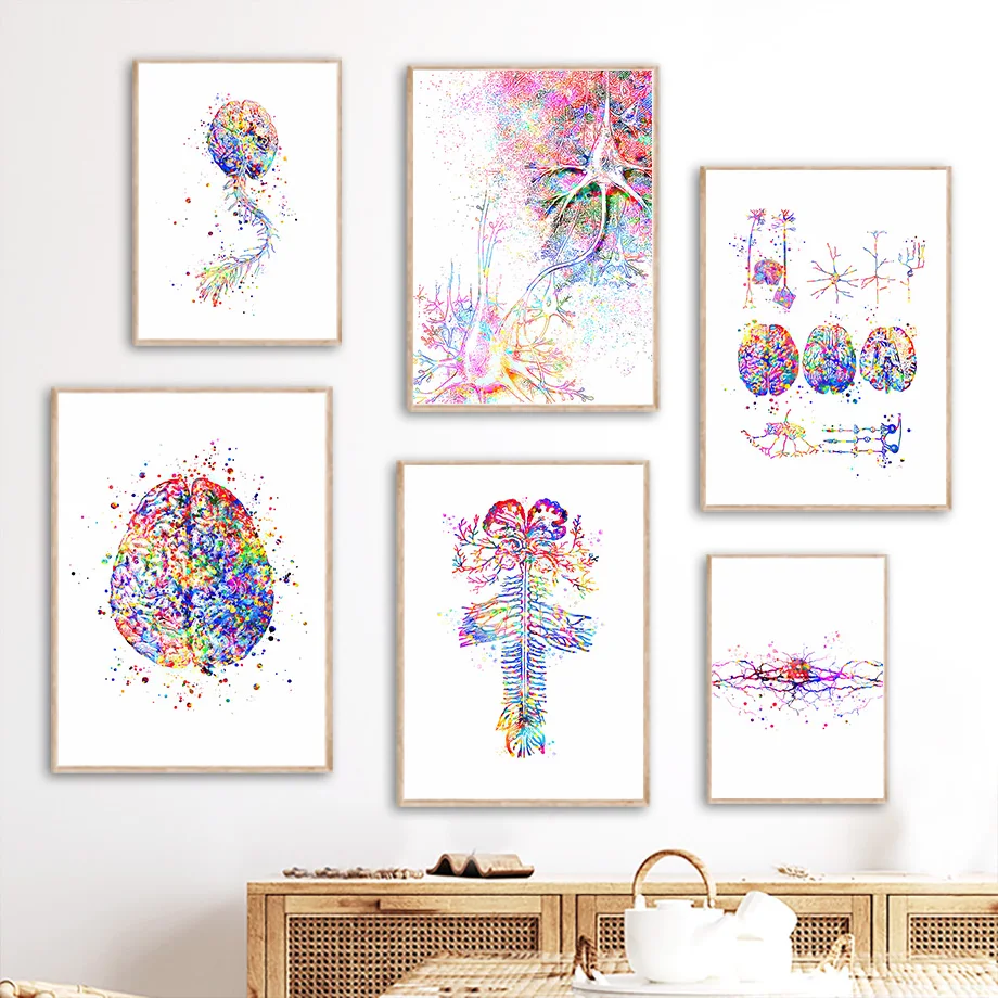 Brain Anatomy Biology Wall Art Canvas Painting Nordic Posters Prints Wall Pictures Nervous System Scientist Office Medical Decor