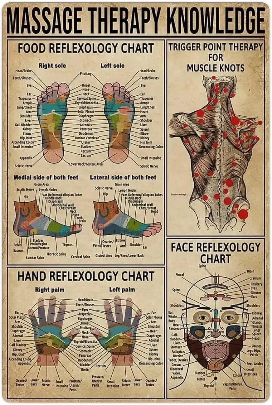 ESETASOT Massage Therapy Knowledge Metal Signs Acupoint Reference Infographic Tin Posters Massage Therapist Guide Plaques C sign