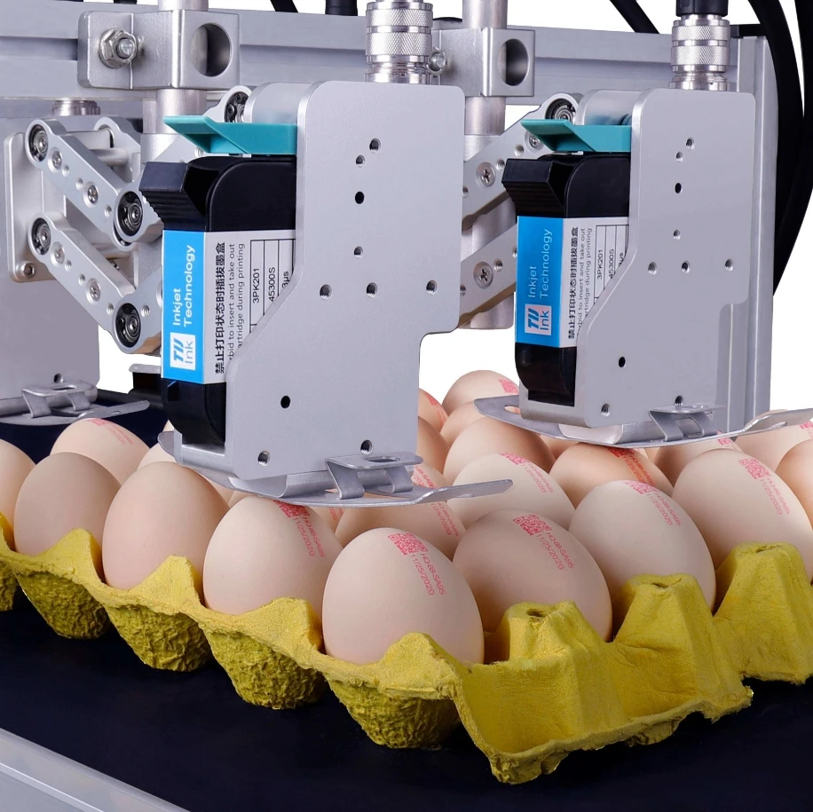 Custom for Docod T600 TIJ Online Egg Expiry Date Coding Printing Machine Automatic Thermal Inkjet Industrial Printer QR Barcode