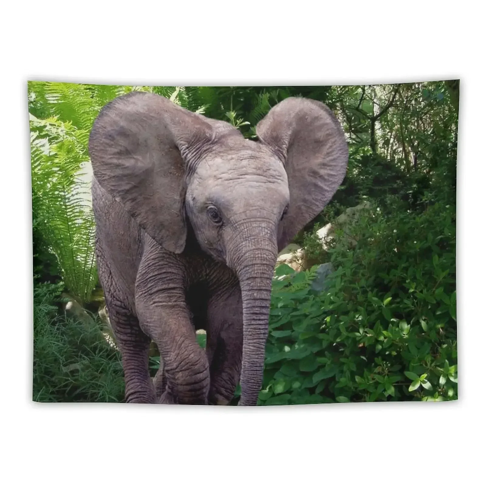 

Elephant and Jungle Tapestry Bedrooms Decorations Decoration For Rooms Tapestry