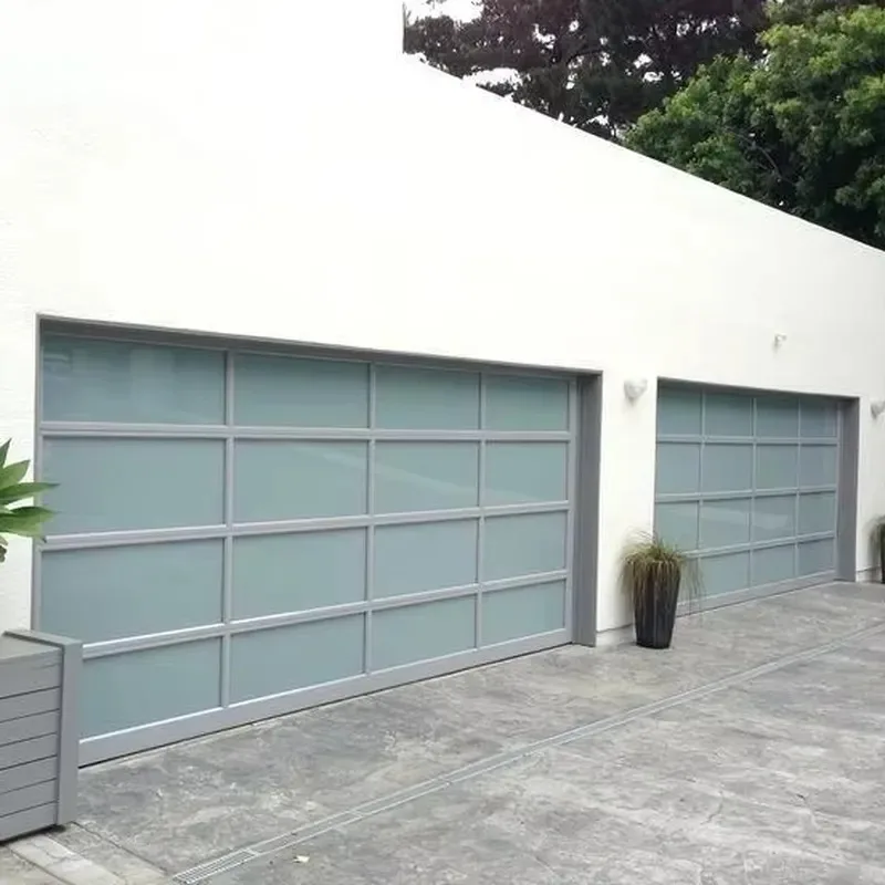 Automatic aluminum alloy glass garage door with pedestrian door