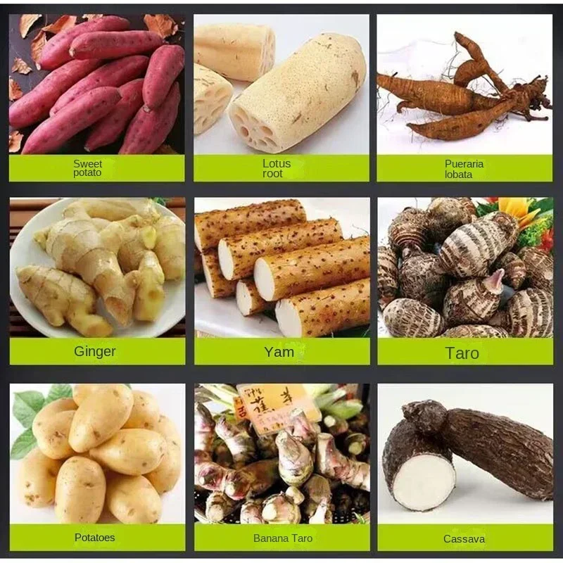 

Top Quality First Sharing Good 800kg/h Stainless Steel Electric Sweet Potato Starch Wet Grinder Refiner Apple Banana Fruit Crush