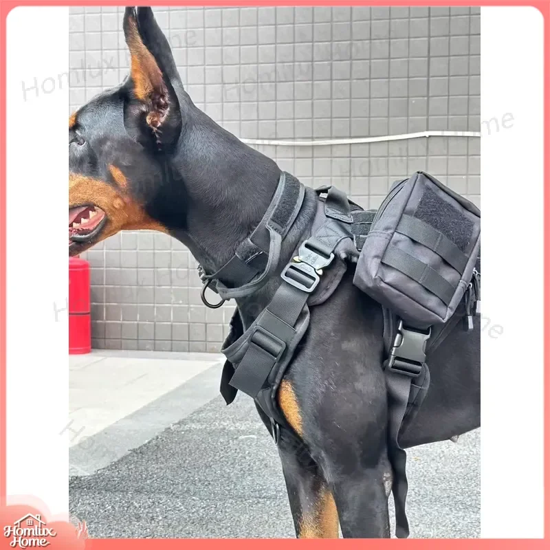 The provided Chinese title describes a dog training strap, not a portable juicer. Please provide the correct Chinese title