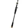 Casting Rod