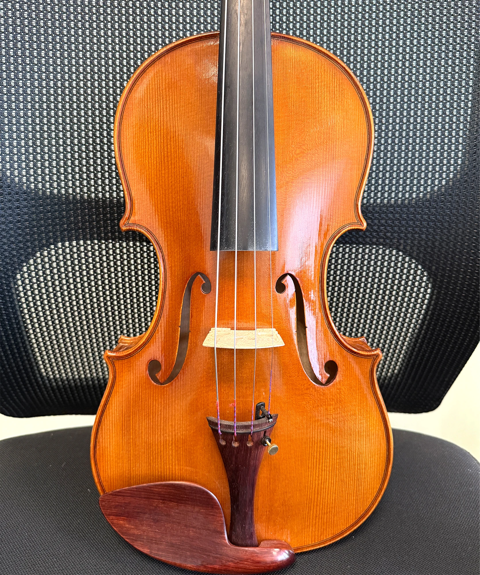 

Professional High-End Handmade Violin 4/4, Made of Selected High-Quality European Spruce Wood, Hand-Painted, Rosewood Accessories
