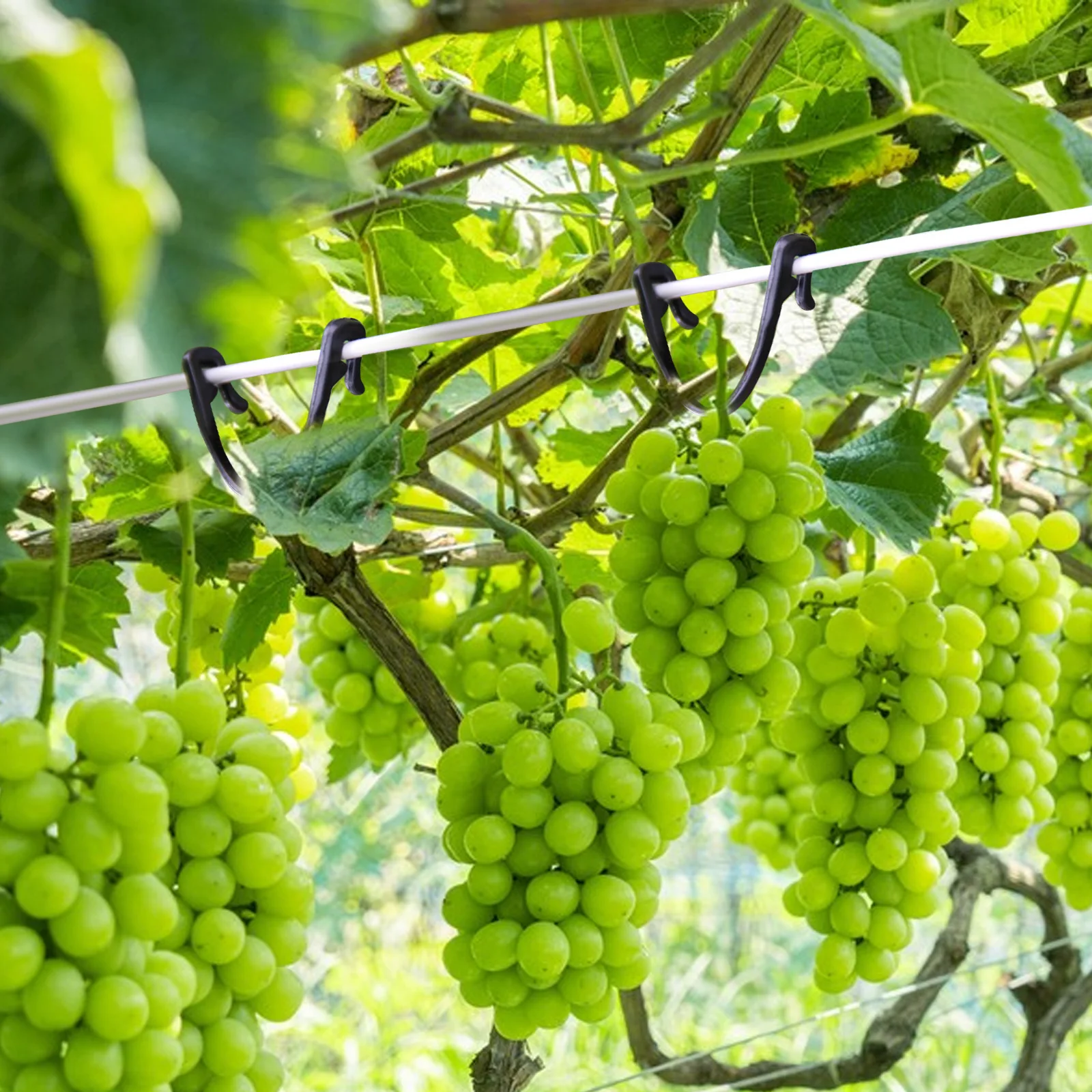 

100pcs Plant Clips Plastic Garden Support Clamps For Fruit Tree Branches Stem Fixing Clip Bending Clips Garden Supplies