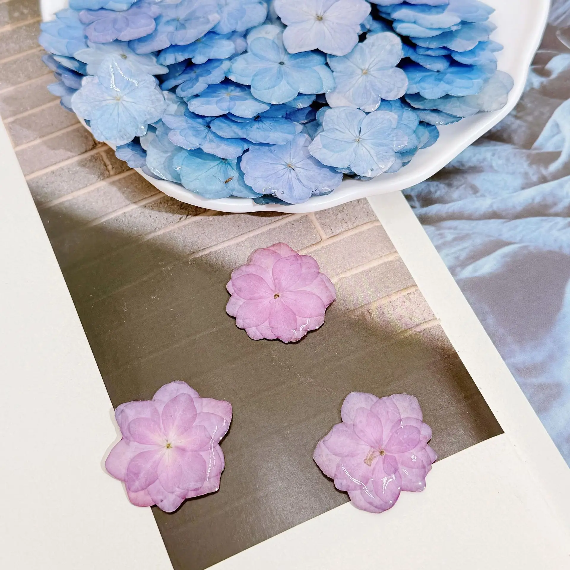 

Resin Product Series with Real Flower Accessories, Double-Petaled Hydrangea Pressed Flowers, Handmade Dried Flowers, DIY Resin Earrings, Necklaces, Plant-Based Crafts
