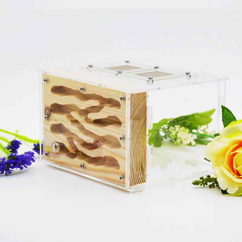 DIY Ecological Acrylic Wood Ant Farm Ant Nest with Feeding Area Insect Ant House for Pet Anthill Workshop 15*14*10cm