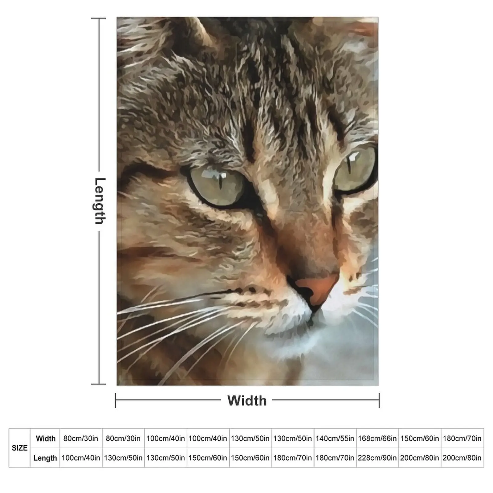 Stunning Tabby Cat Acrylic Pet Portrait Throw Blanket Heavy Warm blankets and throws Beach Travel Blankets For Baby Blankets