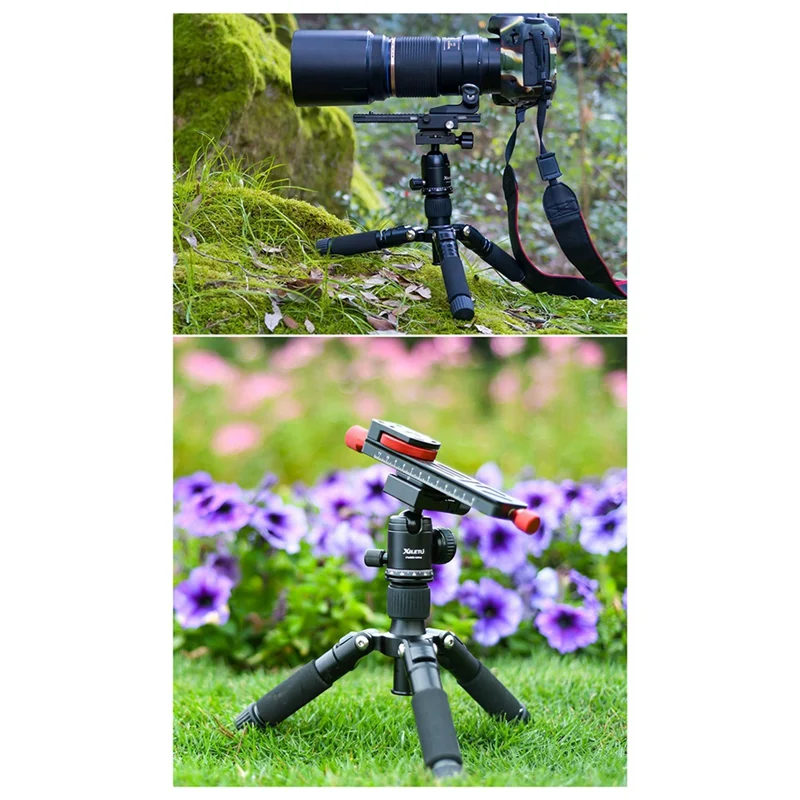 XILETU Mini Desktop Tripod Portable SLR Camera Tripod Mobile Phone Straight Broadcast Photo Stand-Black & Silver Durable