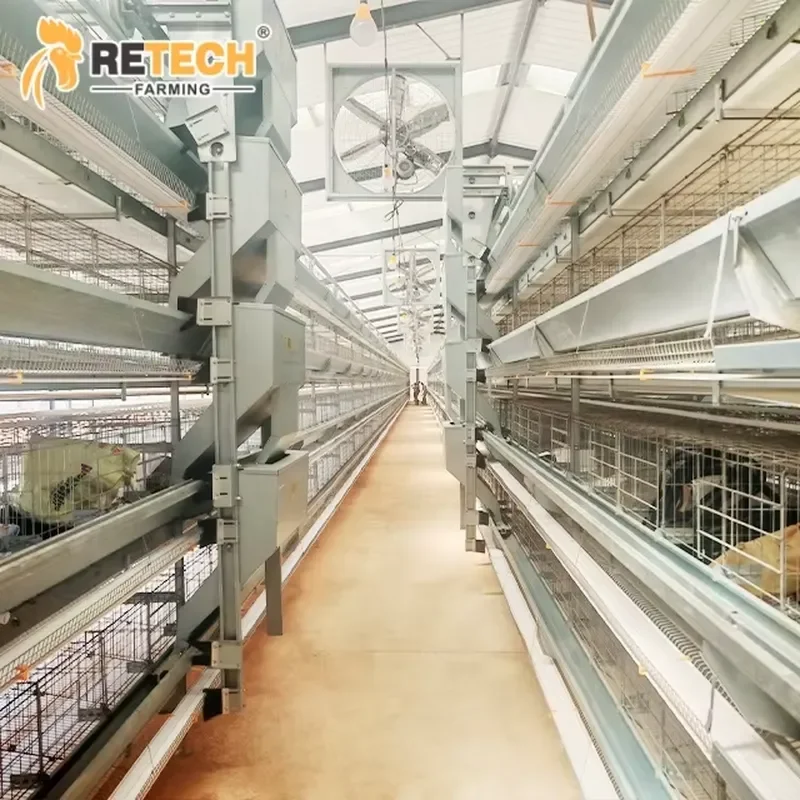 H Type 3 Tier 4 Tier Poultry Laying Hen Layer Chicken Cage for Chickens