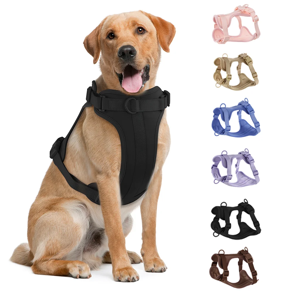 Dog Harness Adjustable Chest Strap Three-Piece Set Collars-f- Harnesses & Leashes Small Medium Dog Double Leash