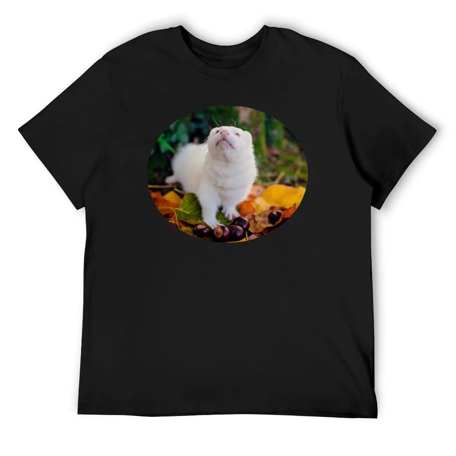 

Осенняя футболка Albino Ferret Migaloo, блузка, аниме-фигурки, одежда больших размеров, футболки, персонализированная мужская футболка