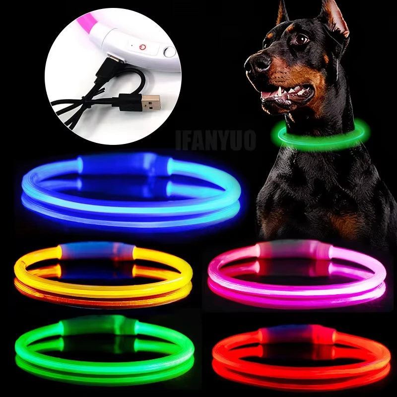Collier rechargeable avec lumière LED