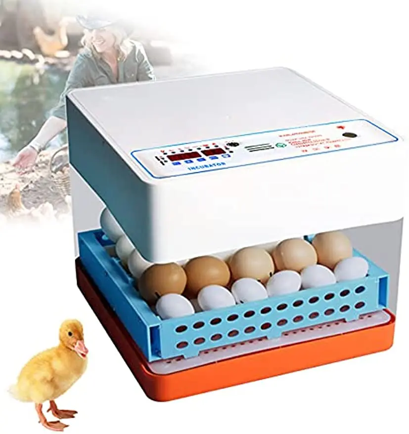 50W Modern Intelligent Egg Incubator Automatic Rotary for Hatching 16-24 Eggs