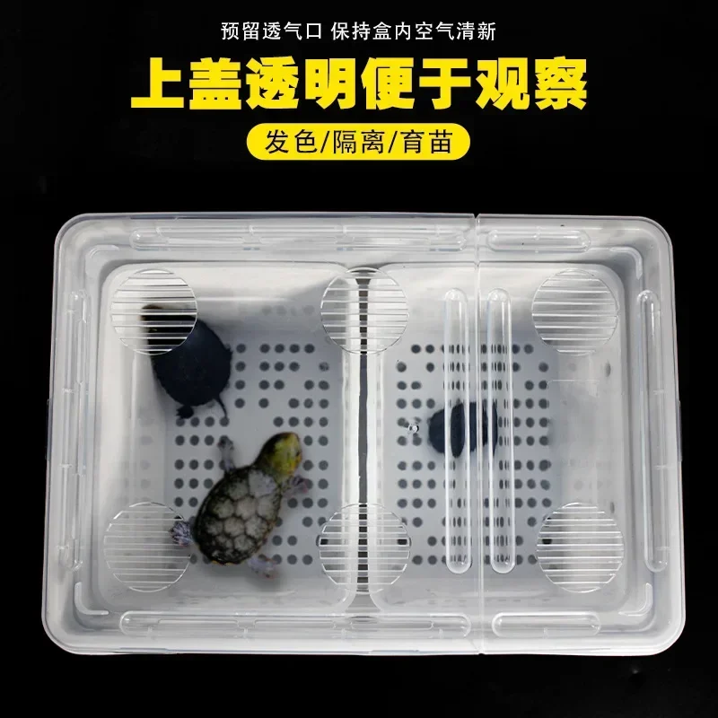 Turtle Breeding Box PVC Turtles Seedling Isolation Boxes Fish Tank Peacock Fish Hatching Box Multifunctional Feeding Tanks