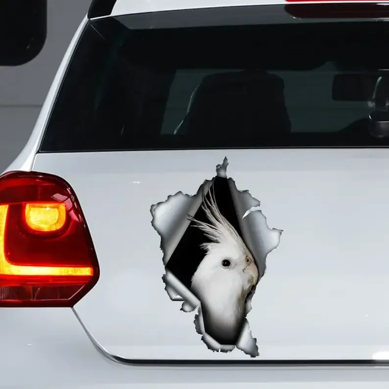 

Albino Cockatiel car decal, Albino Cockatiel magnet, torn metal decal, Albino Cockatiel sticker