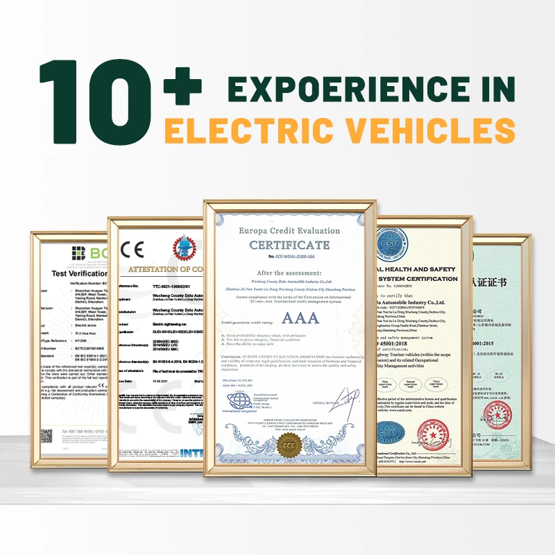 Véhicule de patrouille électrique haute portée personnalisable, chariot de Golf sans bruit et sans Pollution pour voyage, patrouille, Bus touristique, voiture, 2024