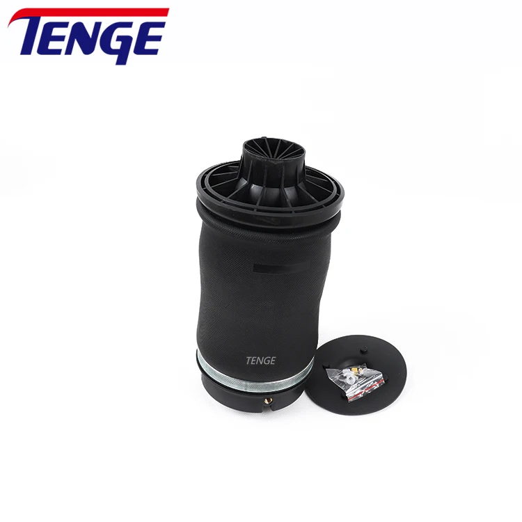 Auto Parts Rear Air Suspension Shock Absorber Struts Spring Bag for Mercedes Benz W164 W166 ML 1643200625 1663200325