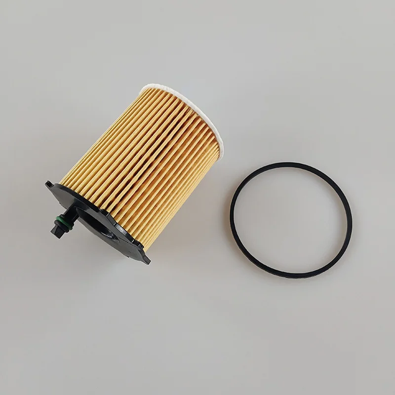 

10Pcs/ Set Engine Oil Filters For Citroen C4 C-ELYSEE DS4 Nemo Xsara For Ford Focus For 206 308 For Suzuki Liana For Maz