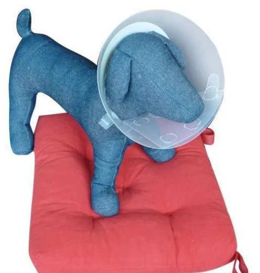 Medical Pet Health Elizabethan Cone Plastic Adjustable Collar Dog Cat Collars Pet Recovery Buckle Collar For Surgery