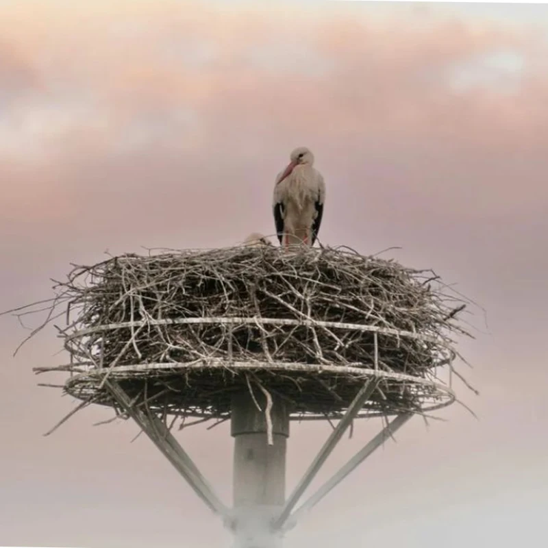 Radiolink Pixhawk PIX 2.4.8 APM Controller di volo a 32 bit FC con GPS M8N SE100 per RC Drone Quadcopter/Multirotore a 6-8 assi