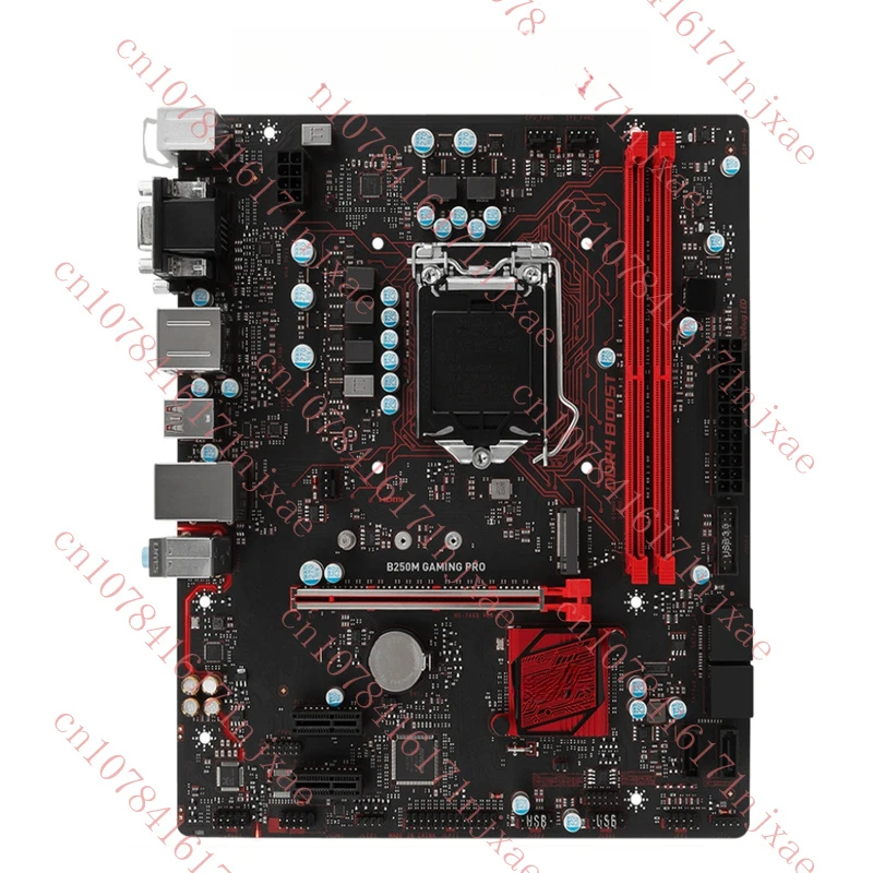 100% Test Work Moth… - image