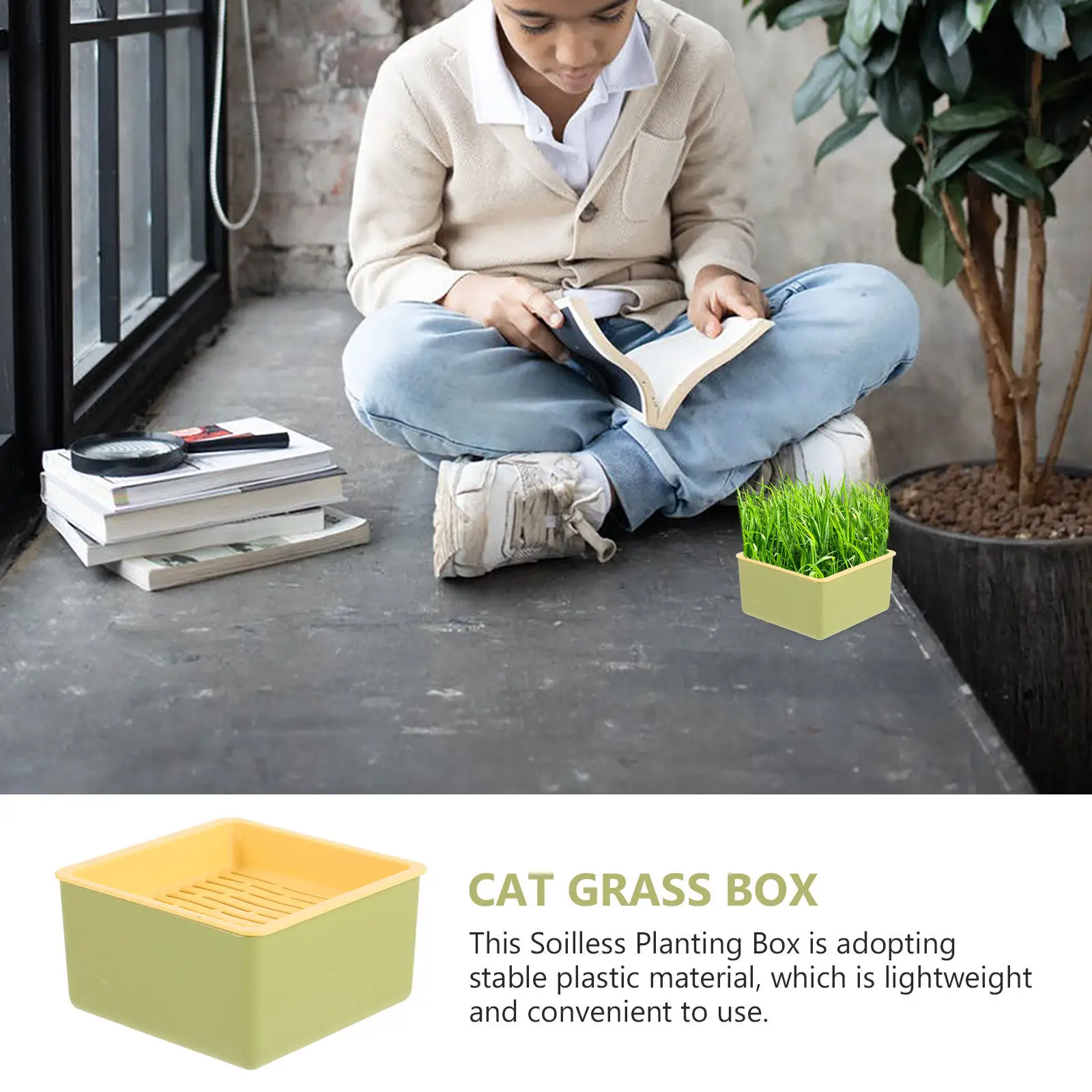 Cat Grass Box Hydroponic Soilless Planter Lightweight Plastic Easy Clean Tray Indoor Outdoor Seed Germination Growing Kit