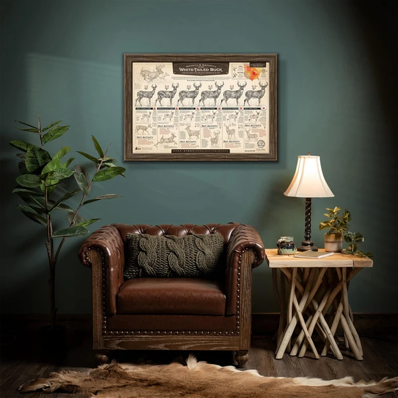 مطبوعات ورقية للنمو والتعليم ، باك أبيض الذيل ،"